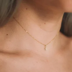 Colliers*Deux Lions - Mary Jane Choker Nekclace